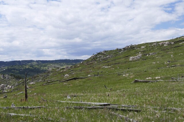 TBD Majestic Heights Rd, Sturgis, SD 57785
