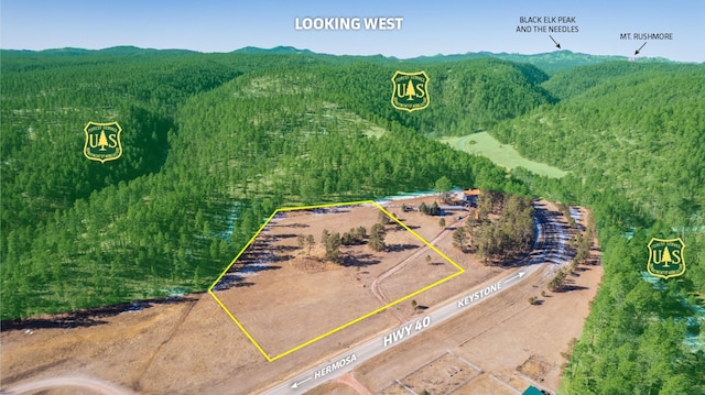 23463 Guyette Rd, Keystone SD, 57751 land for sale