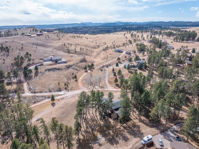 aerial view with a rural view and a mountain view