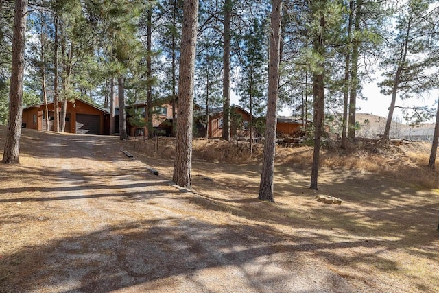 view of yard featuring dirt driveway