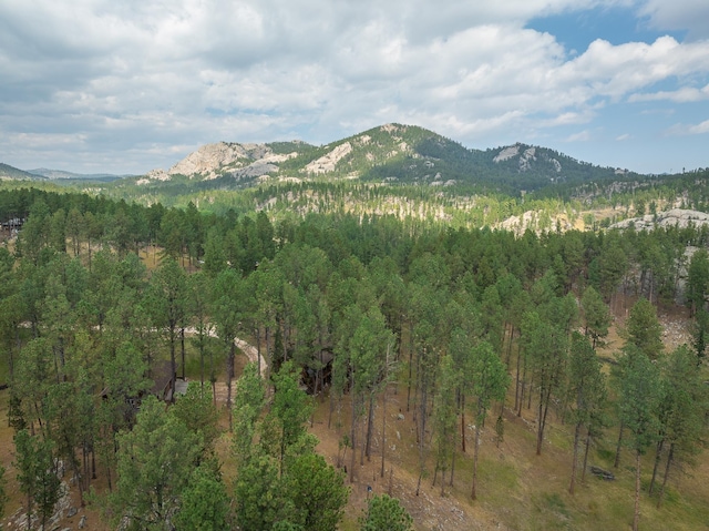 property view of mountains featuring a forest view