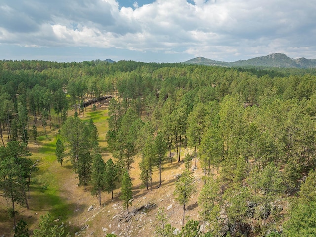 mountain view featuring a wooded view