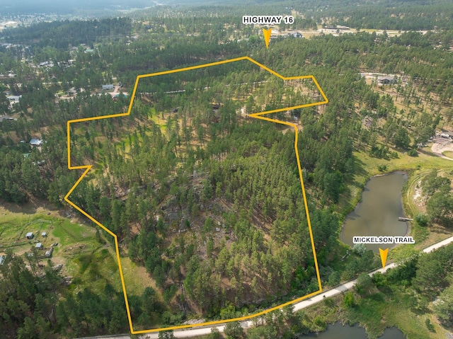 birds eye view of property featuring a water view and a forest view