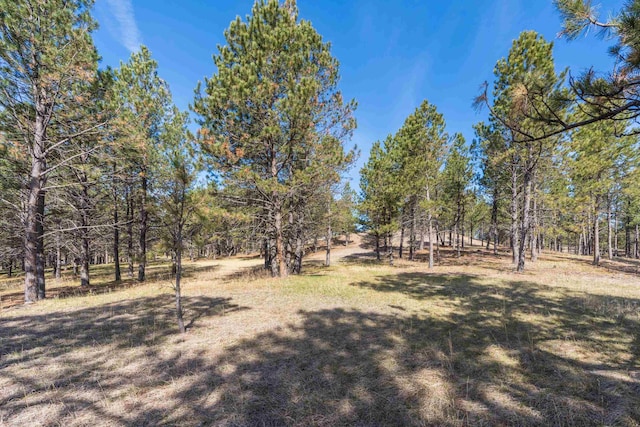 Listing photo 3 for PARCEL6B Saddle Ridge Rd, Hermosa SD 57744