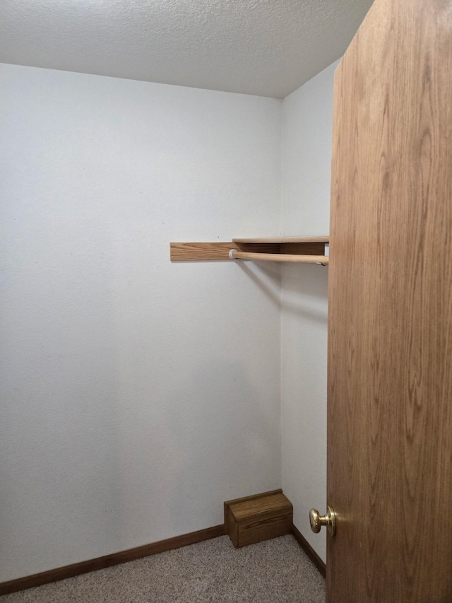 spacious closet featuring carpet