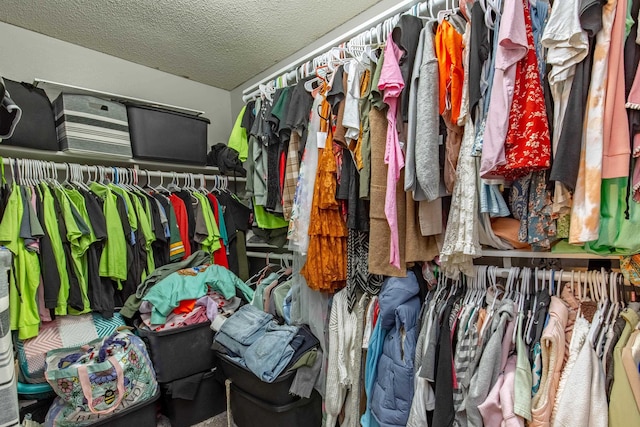 view of spacious closet