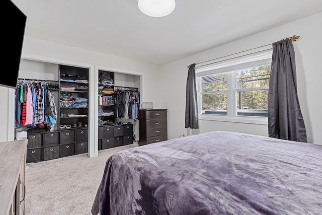 carpeted bedroom with two closets