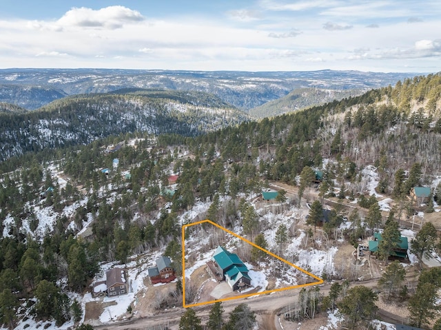 aerial view with a mountain view and a view of trees