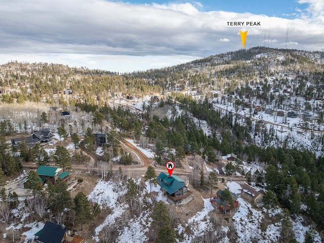 snowy aerial view featuring a mountain view