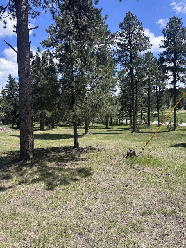 12204 Nemo Rd, Nemo, SD 57759