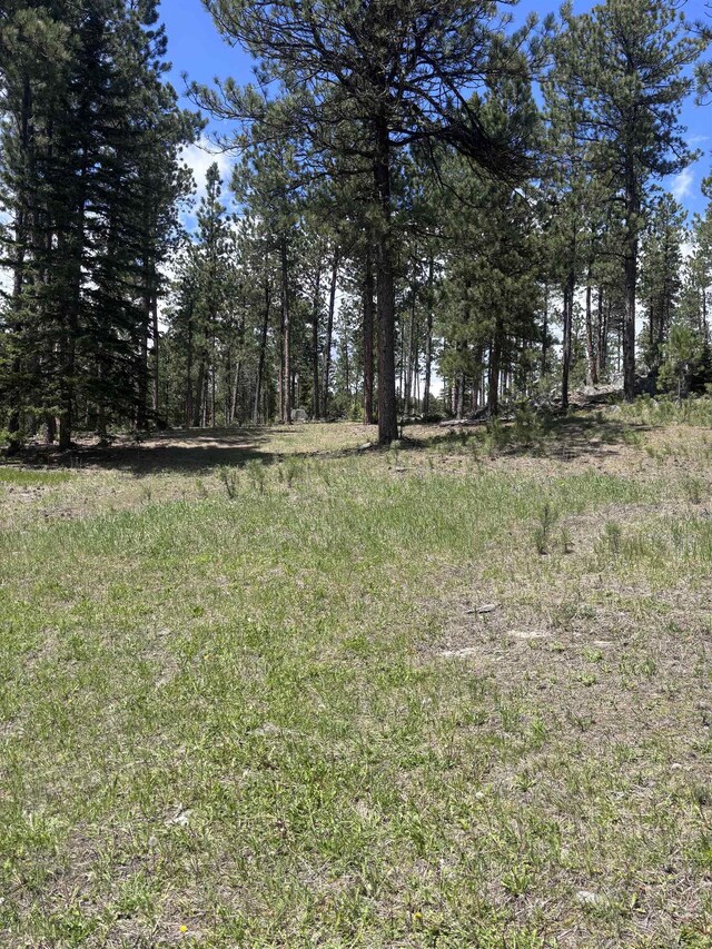 12204 Nemo Rd, Nemo, SD 57759