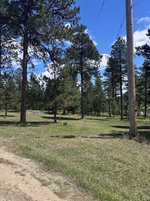 12204 Nemo Rd, Nemo, SD 57759