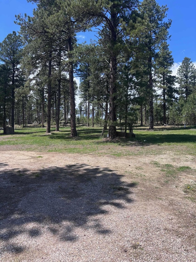 12204 Nemo Rd, Nemo, SD 57759