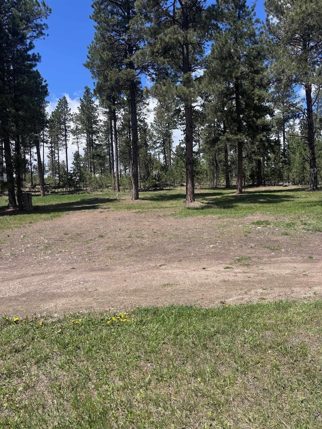 12204 Nemo Rd, Nemo, SD 57759