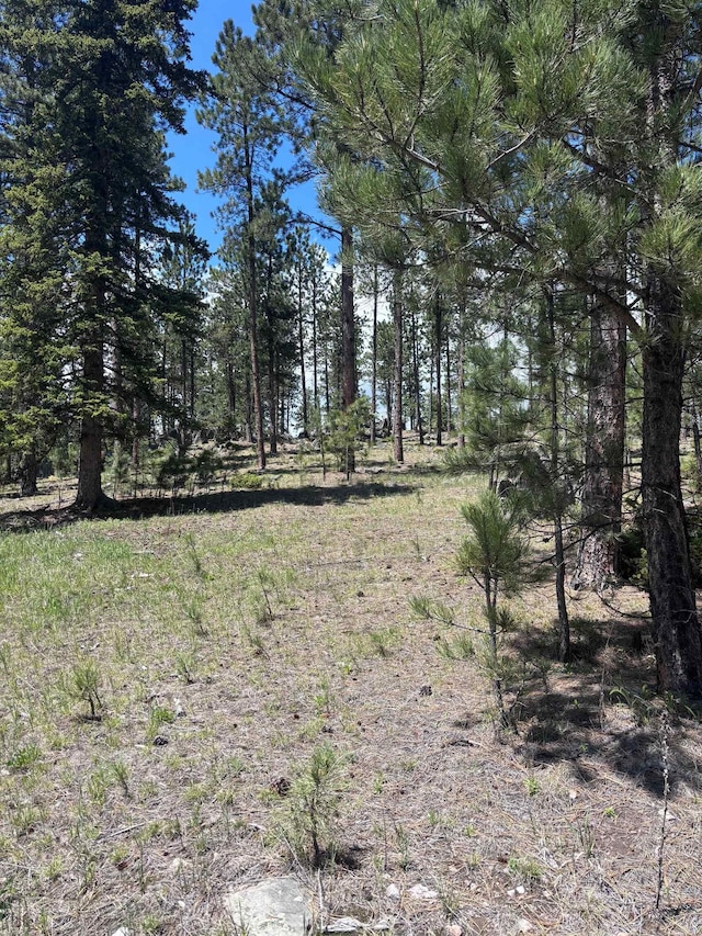 12204 Nemo Rd, Nemo, SD 57759