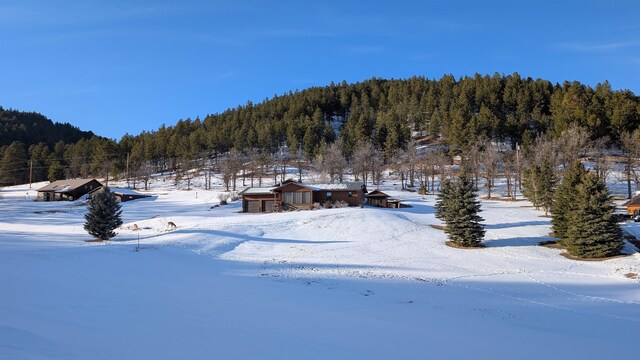 snowy aerial view with a wooded view