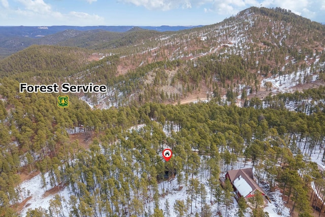 bird's eye view featuring a mountain view and a view of trees