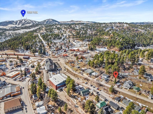 birds eye view of property with a mountain view