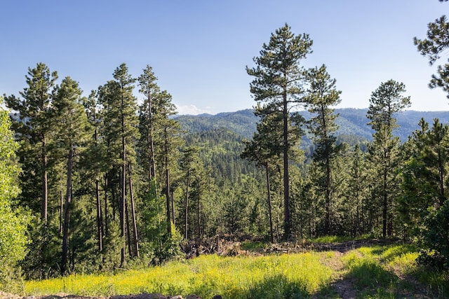 LOT143 Paradise Gulch Loop, Lead SD, 57754 land for sale