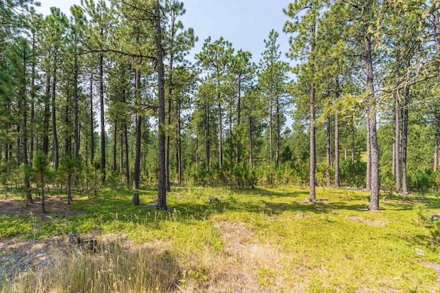 view of nature with a view of trees