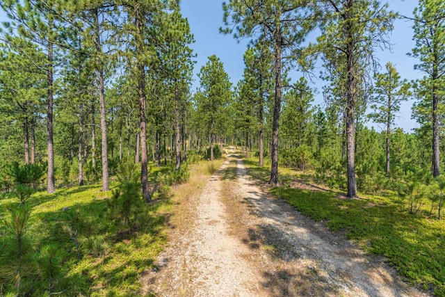 view of street featuring a wooded view