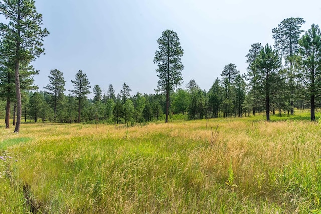 view of nature with a wooded view