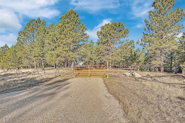 26529 Jack Pine Rd, Custer SD, 57730 land for sale