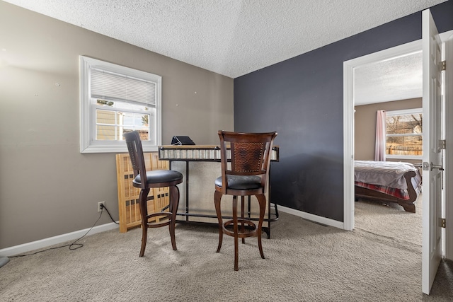 dining area featuring baseboards, carpet floors, and a textured ceiling