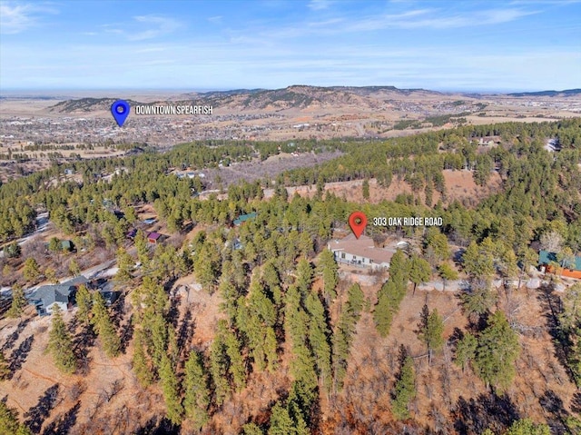 birds eye view of property with a mountain view and a wooded view