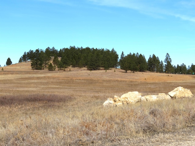 LOT10 Lonesome Dove St, Custer SD, 57730 land for sale