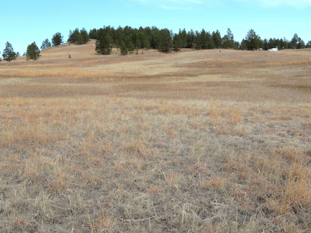 Listing photo 2 for LOT10 Lonesome Dove St, Custer SD 57730