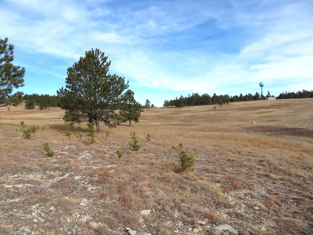 Listing photo 3 for LOT10 Lonesome Dove St, Custer SD 57730