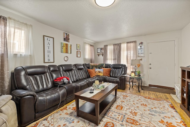 621 Other, Rapid City, SD 57701 - living room featuring a textured ceiling, a healthy amount of sunlight, and light wood-style flooring