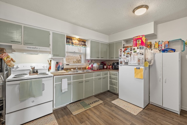 621 Other, Rapid City, SD 57701 - kitchen featuring under cabinet range hood, a sink, wood finished floors, white appliances, and green cabinets