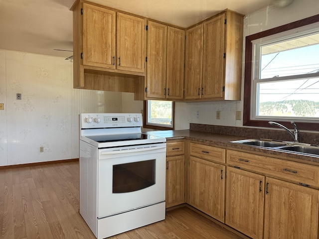 kitchen featuring a sink, plenty of natural light, light wood-style flooring, and white electric range oven