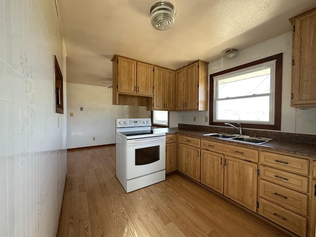 kitchen with white range with electric cooktop, a sink, dark countertops, light wood-style floors, and brown cabinetry