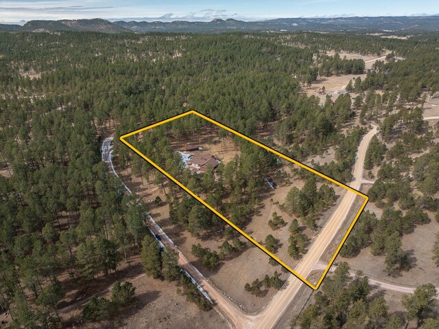 25579 Hanna Ln, Custer, SD 57730 - drone / aerial view with a mountain view and a forest view
