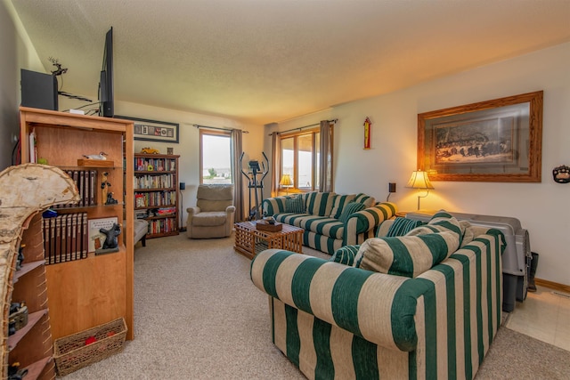 13220 N Haines Ave, Rapid City, SD 57701 - carpeted living area featuring a textured ceiling