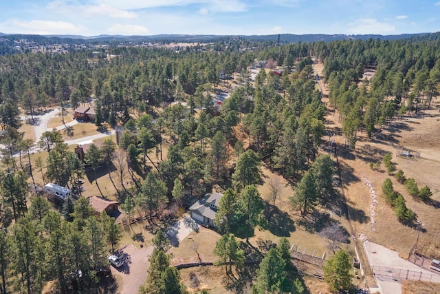 bird's eye view with a view of trees