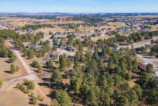 drone / aerial view