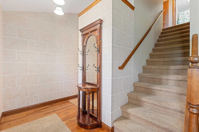 stairs featuring wood finished floors