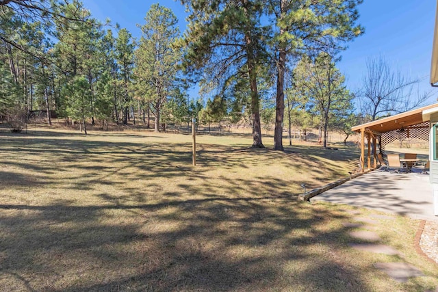 view of yard featuring a patio