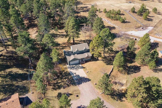bird's eye view