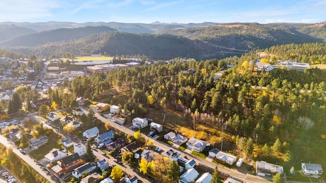 bird's eye view featuring a wooded view and a mountain view