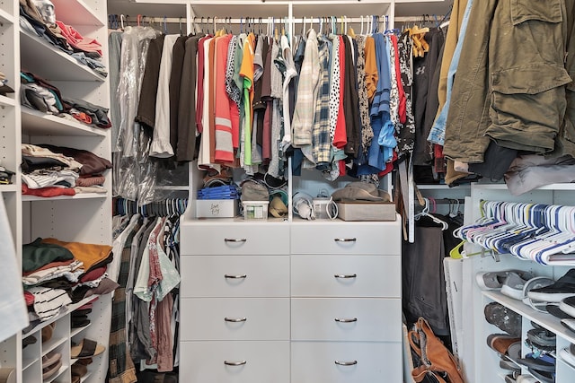 view of spacious closet