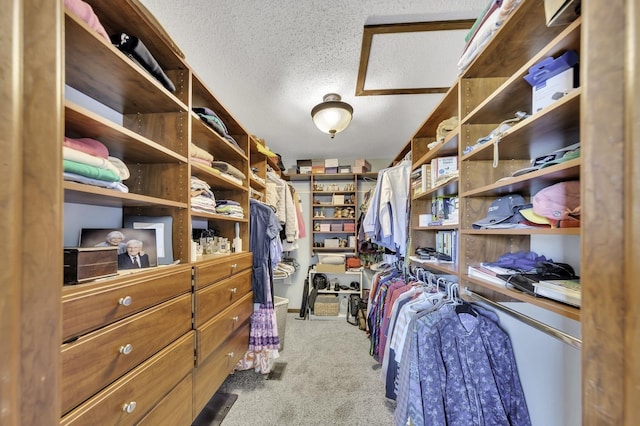 spacious closet with carpet floors