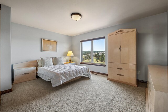 6627 Kennemer Dr, Rapid City, SD 57702 - bedroom featuring baseboards and light carpet