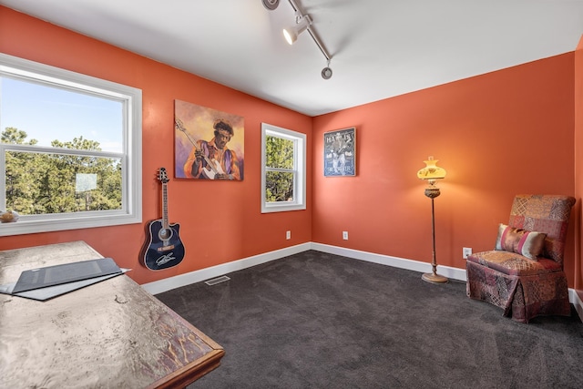 11583 Pay Dirt Pass, Custer, SD 57730 - unfurnished office with rail lighting, carpet, visible vents, and baseboards