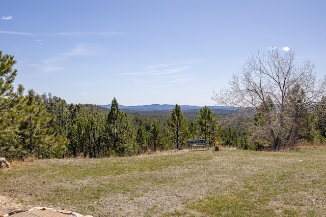 11583 Pay Dirt Pass, Custer, SD 57730 - property view of mountains featuring a forest view