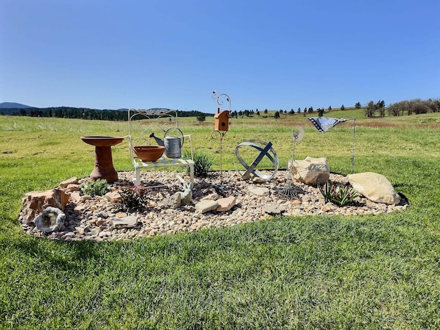 view of grassy yard with a view of rural / pastoral area